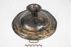 Foto von Bronzebreitrandfußschale (NHMW-PRAE-025182)